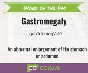 _Word of the Day Gastromegaly 3 18.webp