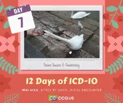 12 Days of ICD-10 - 07.webp